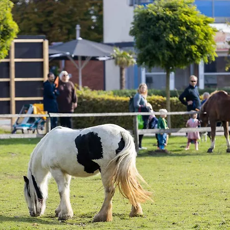In - Oldenburger Land 40667